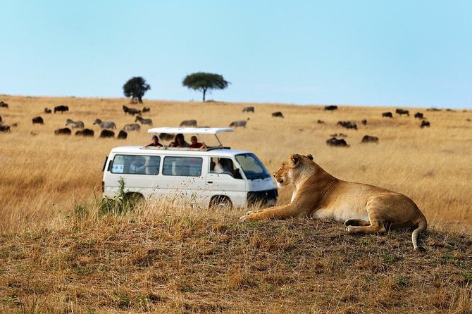 Nairobi Airport Layover Half Day Tour Nairobi National Park - The return to the airport is the important part
