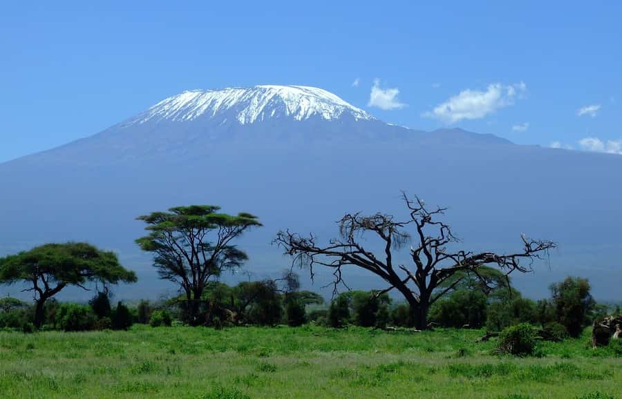 Nairobi: Amboseli National Park Tour & Maasai Village Visit - Key points at a glance