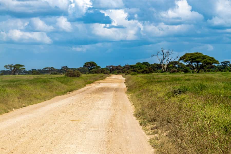 Nairobi: Amboseli National Park Tour & Maasai Village Visit - Entering Amboseli’s open plains and marshes