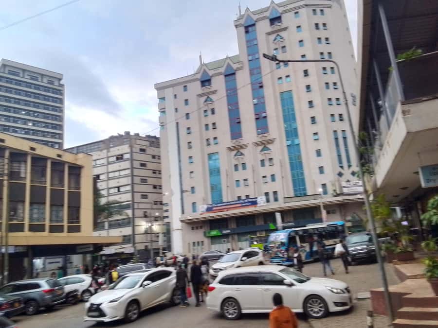 Nairobi City Guided Tour - Walking the city center with a private guide