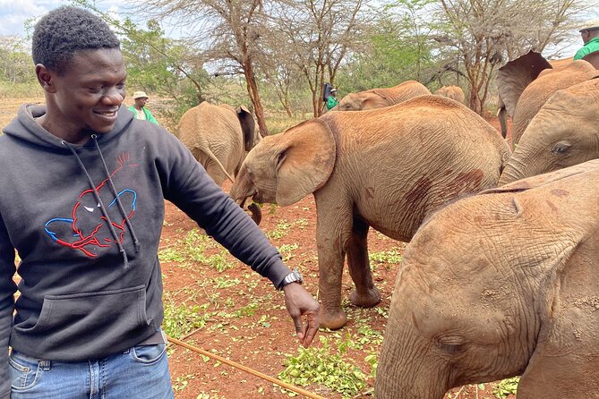Nairobi City Guided Walking Tour - August 7th Memorial Park