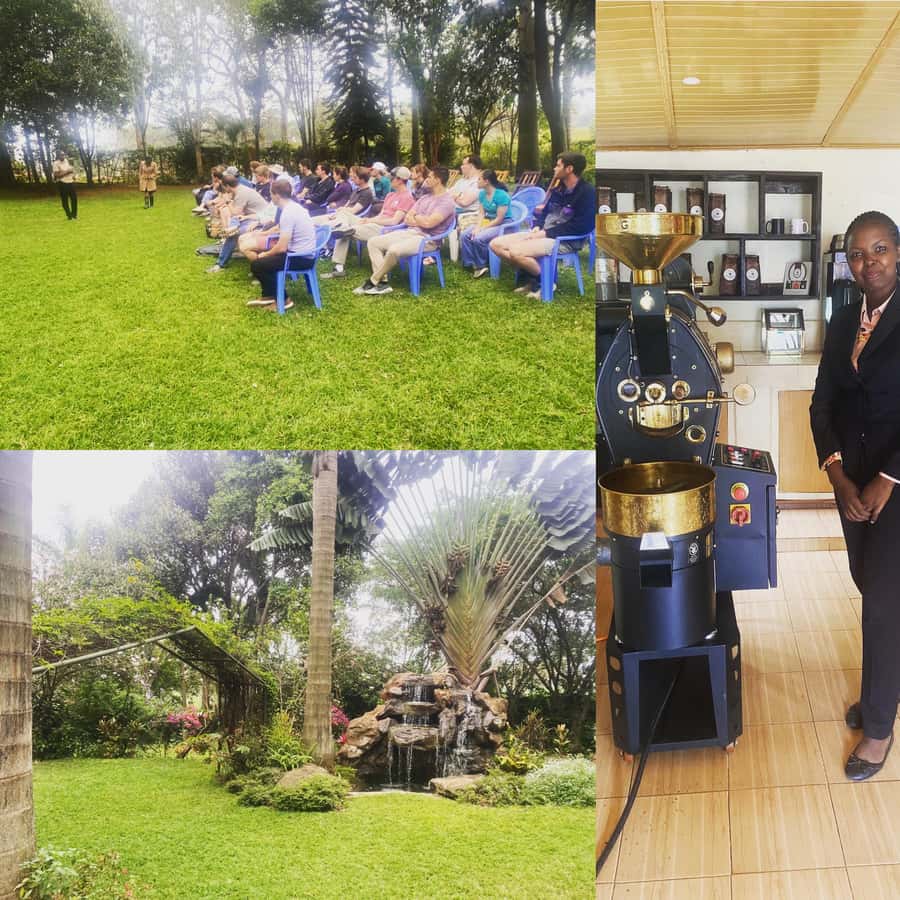 Nairobi: Coffee Factory and Farm Tour with Transfer - Seeing coffee before it becomes a bean