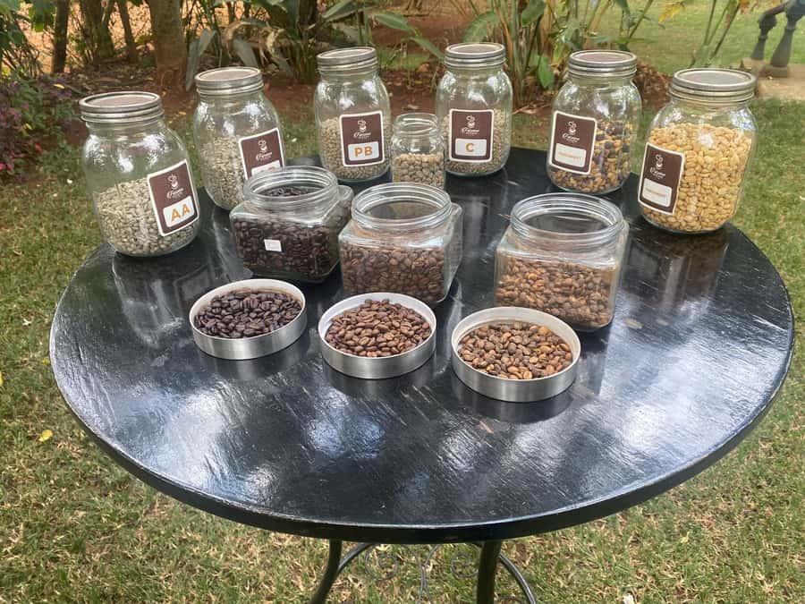 Nairobi: Coffee Factory and Farm Tour with Transfer - Following the coffee process step by step