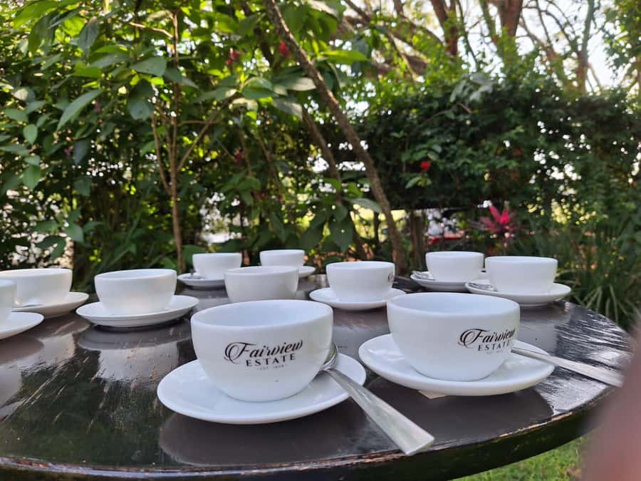 Nairobi: Coffee farm tour with pick up - Why Fairview Estate makes a good Nairobi side trip