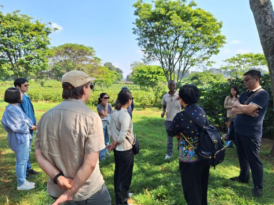 Nairobi: Coffee farm tour with pick up - The 9:00 AM pickup and the first practical test