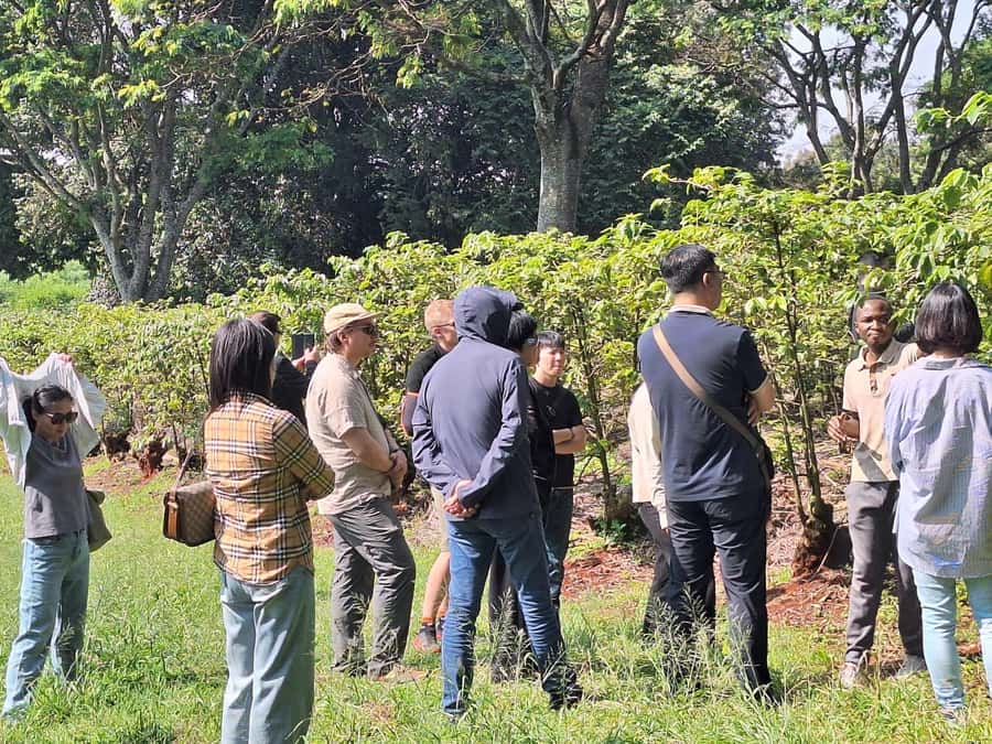Nairobi: Coffee farm tour with pick up - Tasting Kenyan coffee with citrus, berry, and chocolate notes