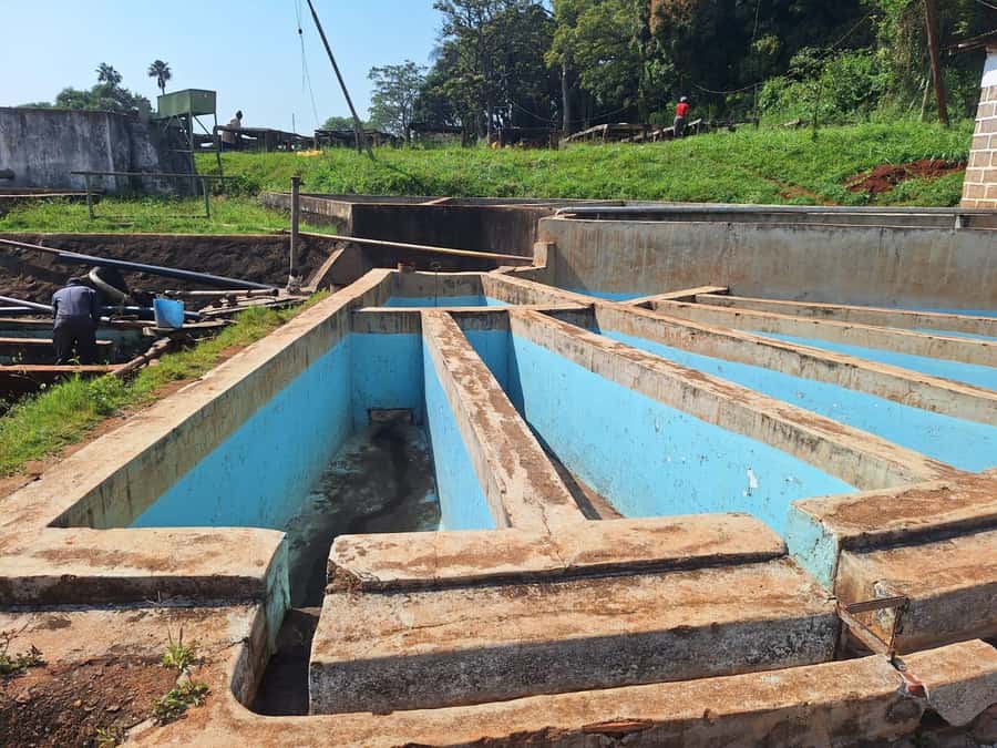 Nairobi: Coffee farm tour with pick up - What the $36 price really covers