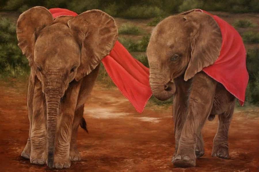 Nairobi: David Sheldrick Elephant Orphanage Visit - Watching the elephants feed at 11:00 AM