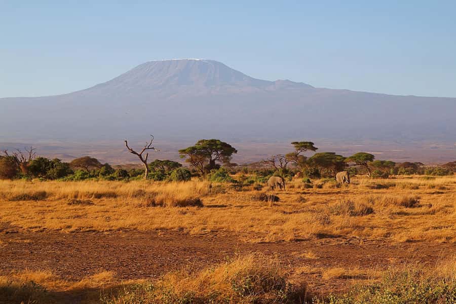 Nairobi: Day Tour to Amboseli National Park & Maasai Village - Should you book this Amboseli day trip?