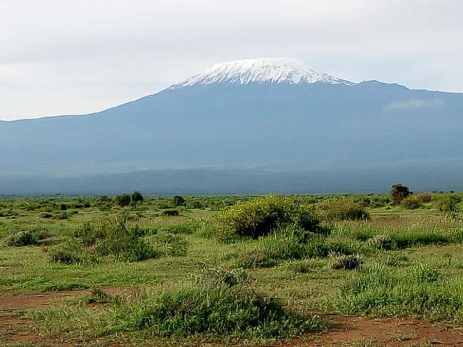 Nairobi: Day Trip to Amboseli National Park - Morning game drive among elephants and big cats
