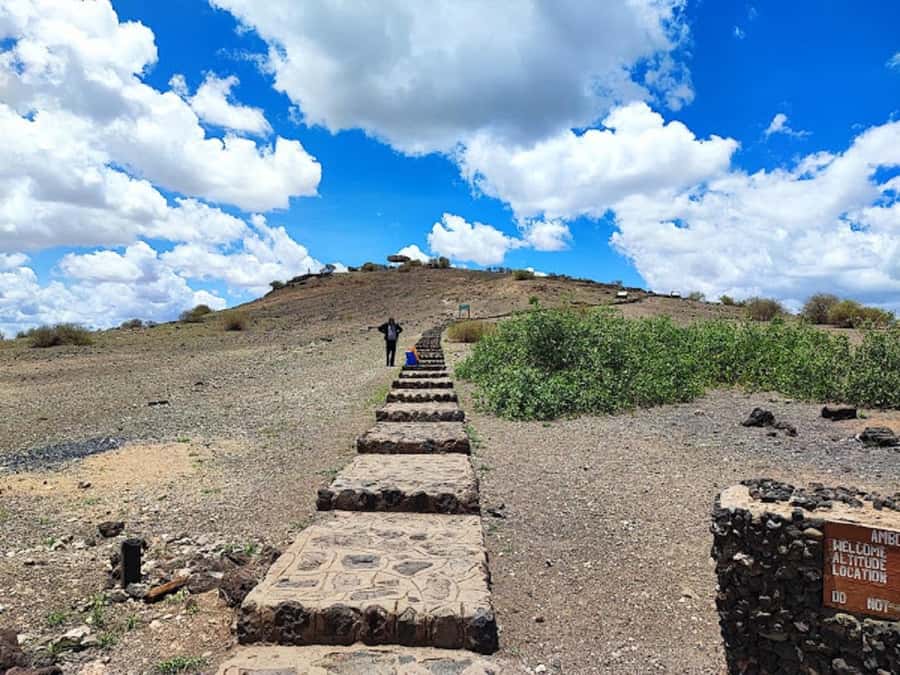 Nairobi: Day Trip to Amboseli National Park - Return to Nairobi and the cost of a single day