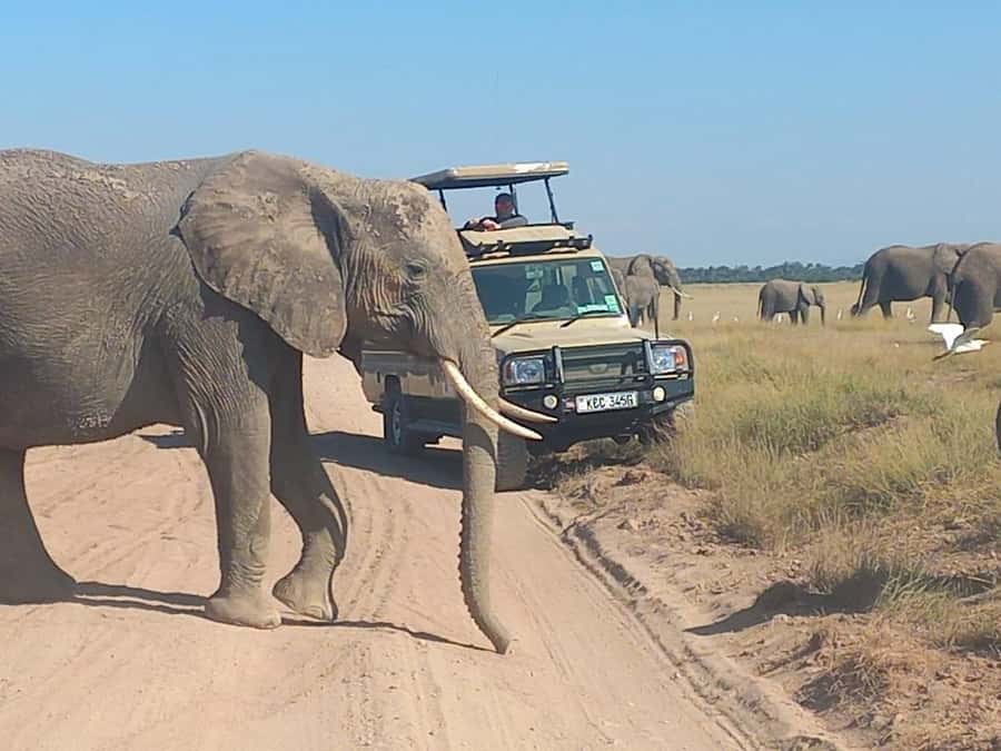 Nairobi:Day trip to Amboseli National park & Maasai village - Pickup in Nairobi and the long road south