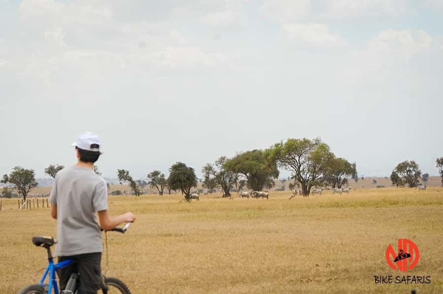 Nairobi: E-Bike/Cycling Wildlife Safari with Transfer & meal - Key details at a glance