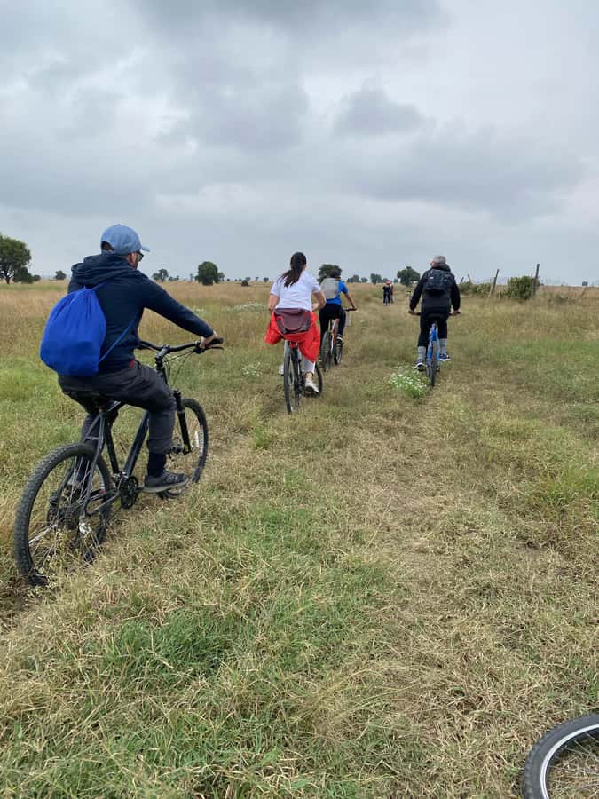 Nairobi: E-Bike/Cycling Wildlife Safari with Transfer & meal - The Nairobi pickup makes a short tour practical