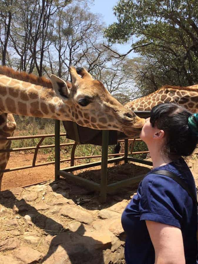 Nairobi: Elephant Orphanage, Beads Factory , giraffe center - Watching rescued elephants at Sheldrick Wildlife Trust