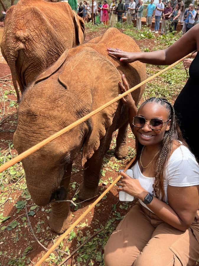 Nairobi: Elephant Orphanage, Beads Factory , giraffe center - Should you book this experience?