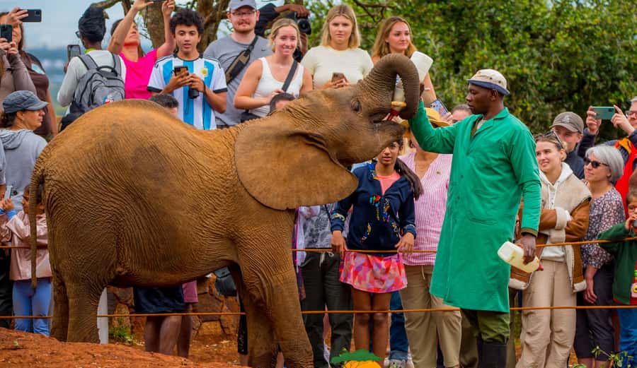Nairobi: Elephant Orphanage Trust and Giraffe Center Tour - Kazuri Beads and the people behind the craft