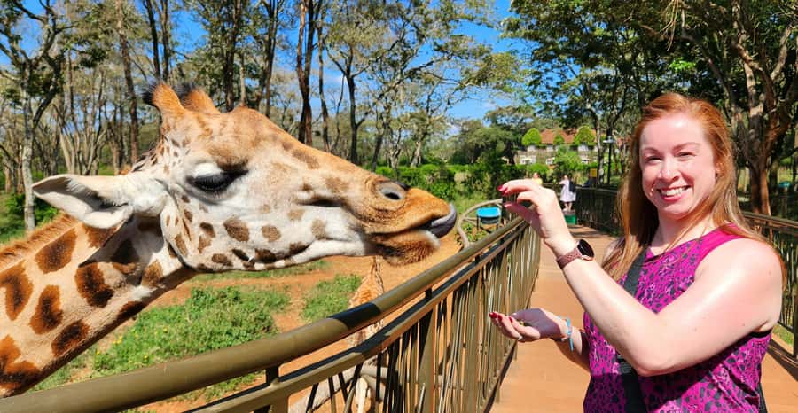 Nairobi: Elephant Orphanage Trust and Giraffe Center Tour - The Sheldrick Wildlife Trust from 11:00 AM to noon