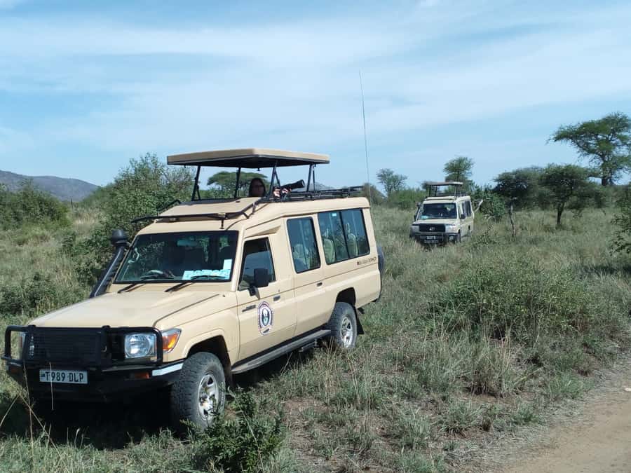 Nairobi: Elephants, Giraffes, Karen Blixen & Bomas Tour - A full Nairobi day from elephants to traditional dance