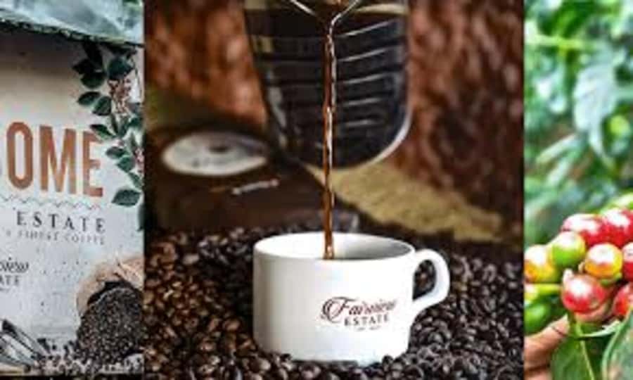 Nairobi: Fairview Coffee Estate Tour with Pickup - Leaving Nairobi for Kiambu’s coffee country