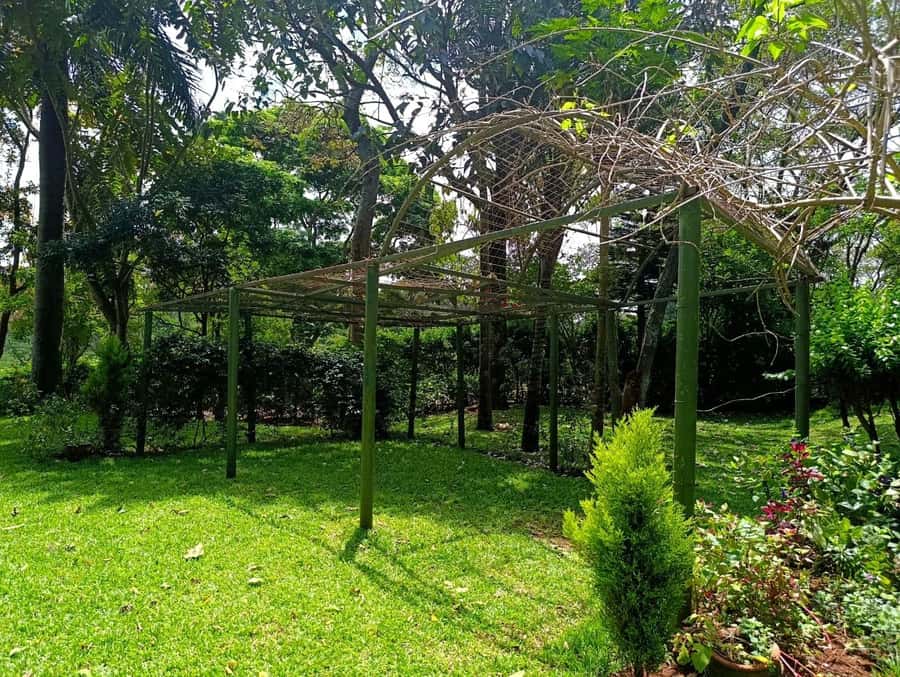 Nairobi: Fairview Coffee Estate Tour with Pickup - Roasting beans over firewood