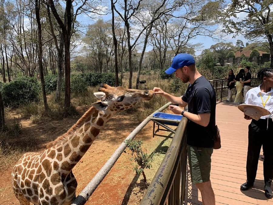 Nairobi:Giraffe Center, Baby Elephant and Beads factory Tour - Learning about orphaned elephants at David Sheldrick Wildlife Trust