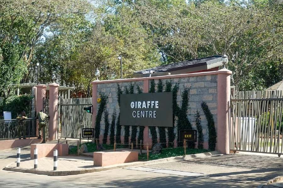 Nairobi:Giraffe Center, Baby Elephant and Beads factory Tour - How the schedule fits together