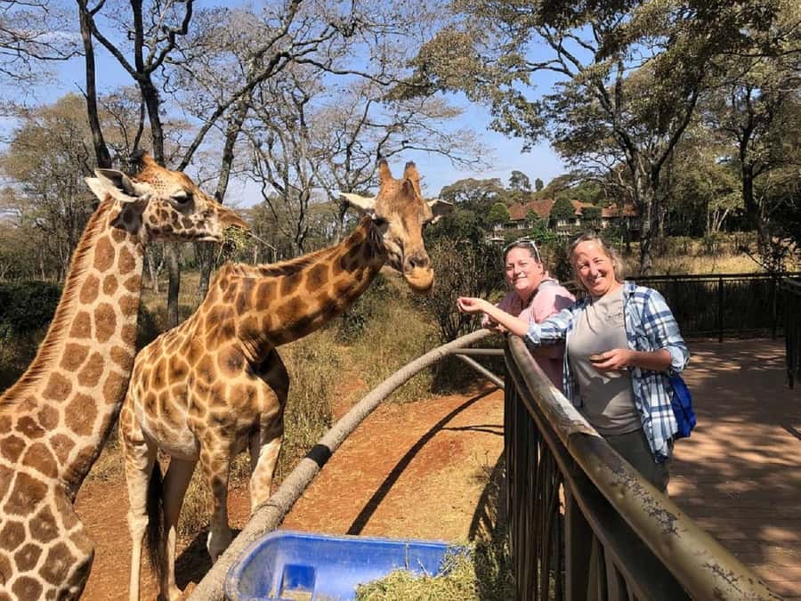 Nairobi:Giraffe Center, Baby Elephant and Beads factory Tour - Guides, languages, and the human factor