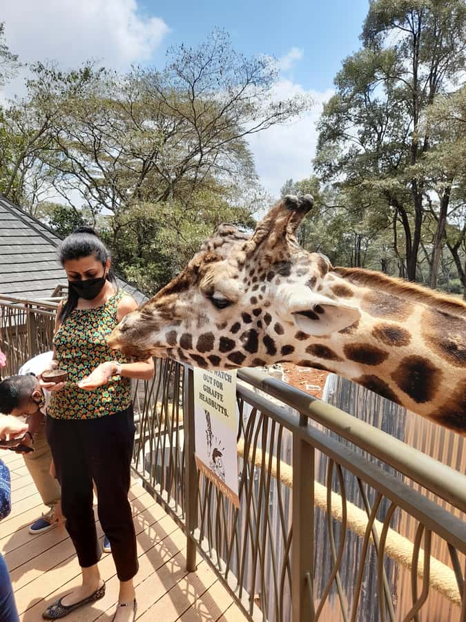 Nairobi: Giraffe Center, Beads Factory & Bomas of Kenya Tour - Practical advice for a smoother six hours