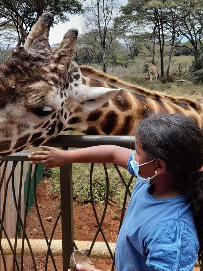 Nairobi: Giraffe Center, Beads Factory & Bomas of Kenya Tour - Who will enjoy this Nairobi tour most