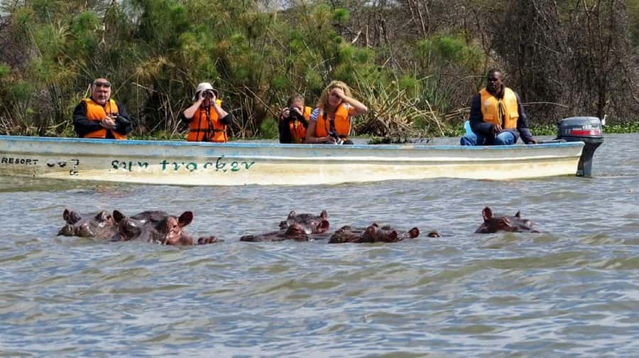 Nairobi:Group Hell's Gate National Park & Lake Naivasha Tour - Cycling past wildlife inside Hell’s Gate