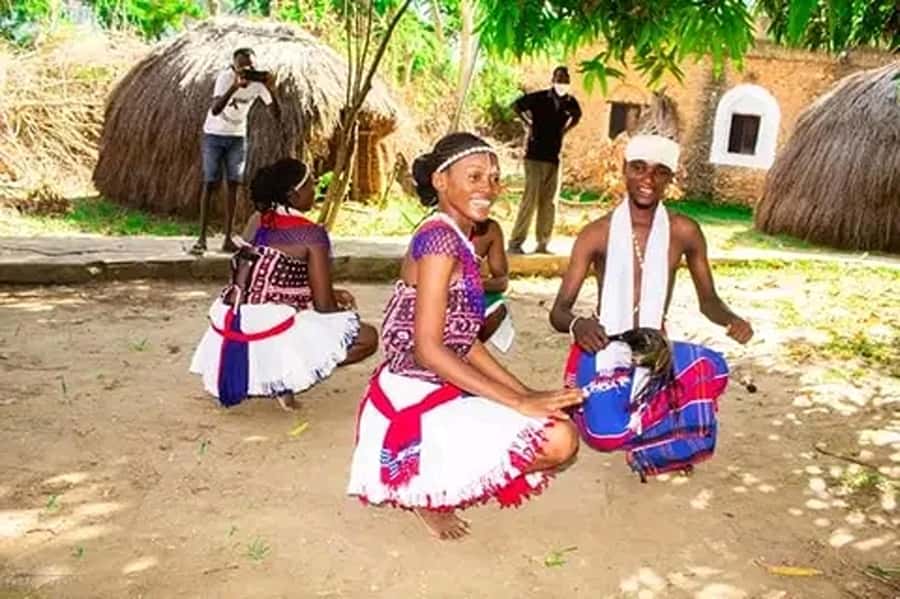 Nairobi: Guided Afternoon Tour to Bomas of Kenya. - Key points to know before booking