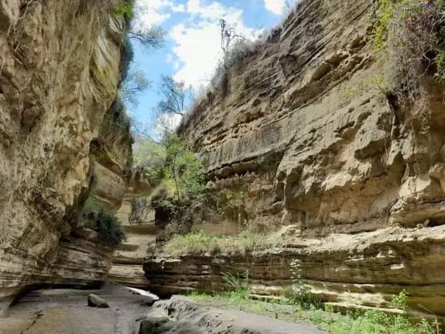 Nairobi: Hell's Gate National Park and Lake Naivasha Tour - Nairobi to Naivasha, a full day beyond the city