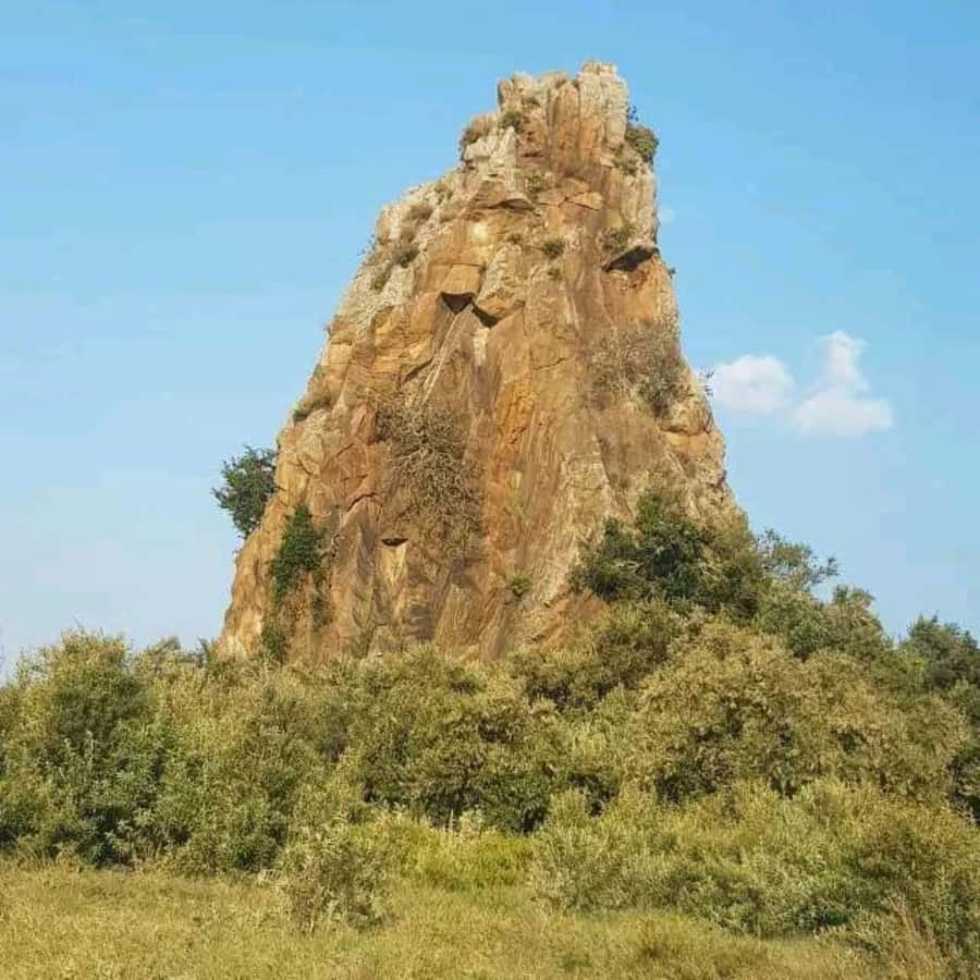 Nairobi: Hell's Gate National Park and Lake Naivasha Tour - Hell’s Gate by bicycle, with wildlife beside the road