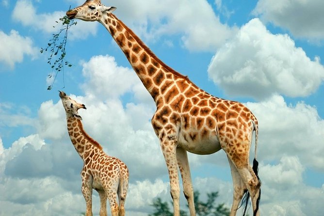 Nairobi Highlights: Karen Blixen, Beads Factory & Giraffe Center Day Tour - Seeing the bead-making process at Kobe Tough