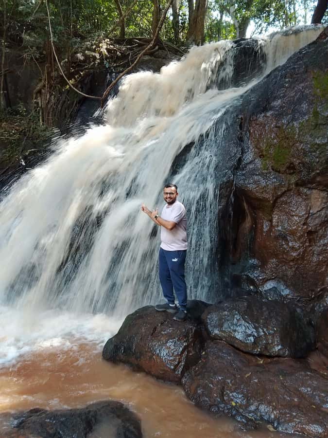 Nairobi: Karura Forest Guided Walking Tour - Stories in the Trees