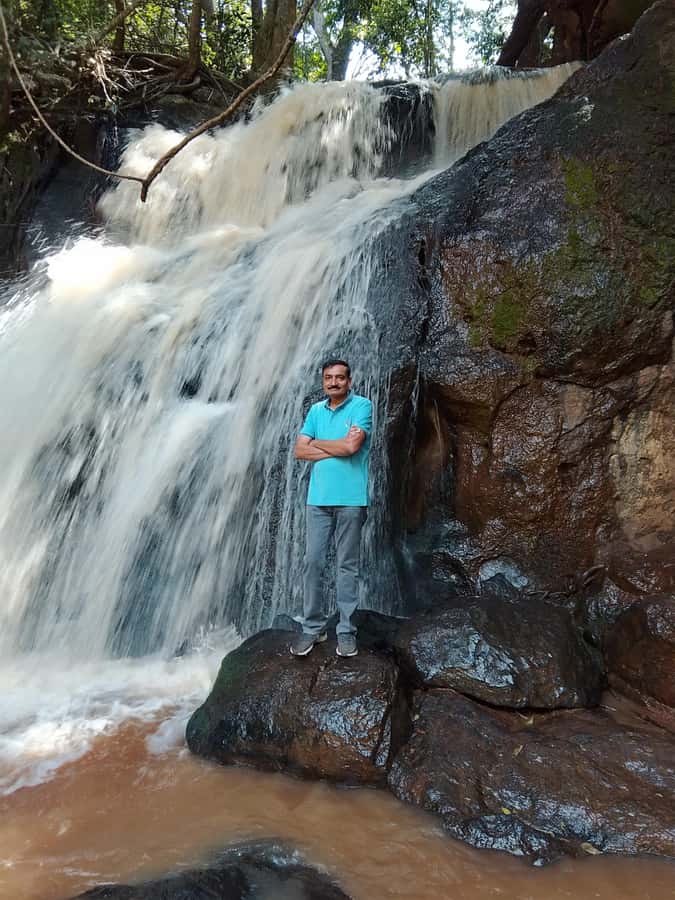 Nairobi: Karura Forest Guided Walking Tour - How the Private Format Changes the Day