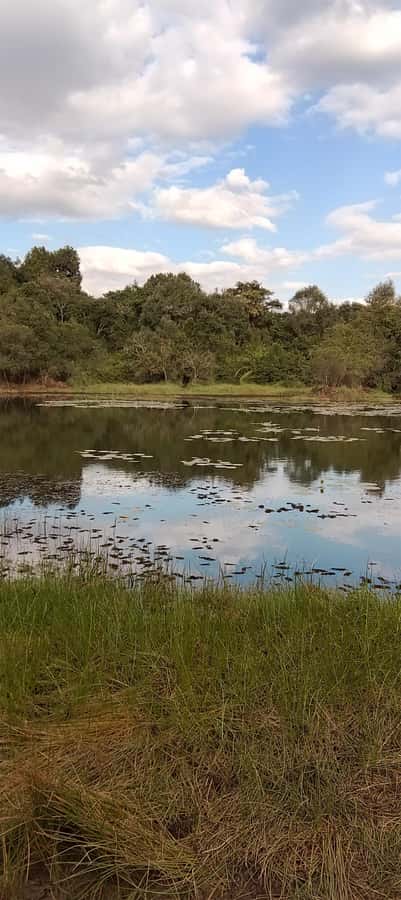 Nairobi: Karura Forest Guided Walking Tour - What to Bring for Three Hours
