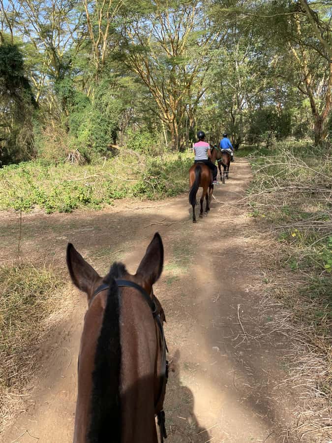 Nairobi: Karura Forest Horseback Riding Tour - Riding into Karura Forest from Sigiria Gate