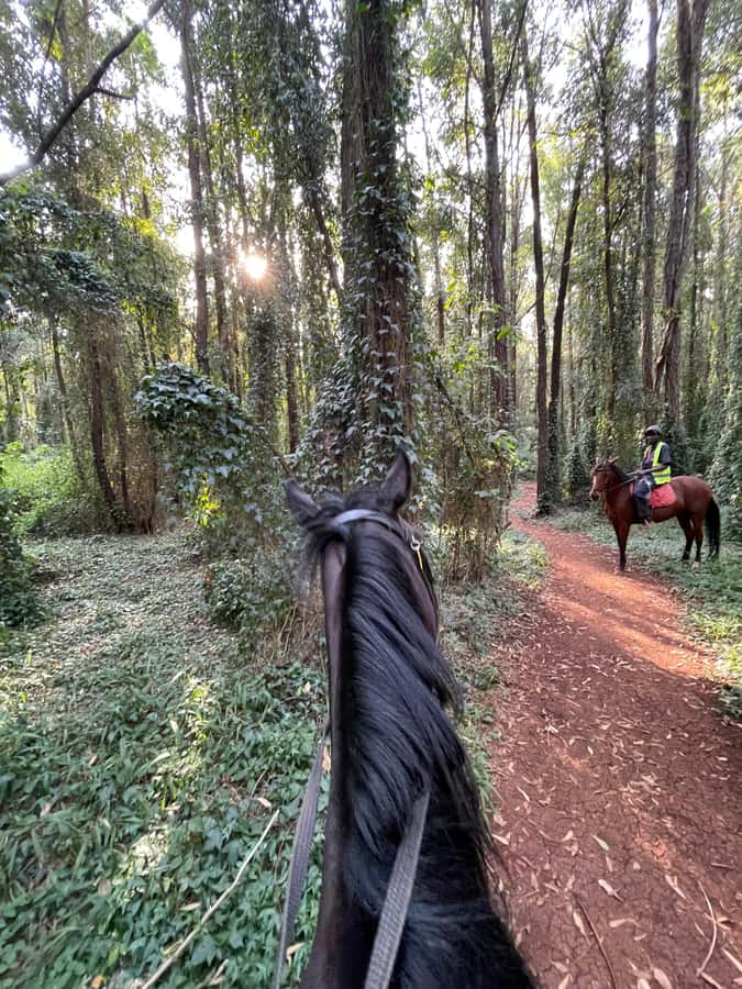 Nairobi: Karura Forest Horseback Riding Tour - A calm horse ride through rivers, ponds, and narrow trails