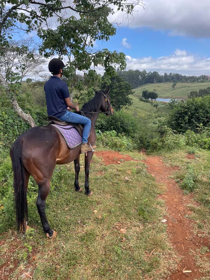 Nairobi: Karura Forest Horseback Riding Tour - More freedom for confident riders