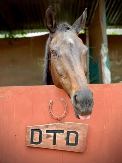 Nairobi: Karura Forest Horseback Riding Tour
