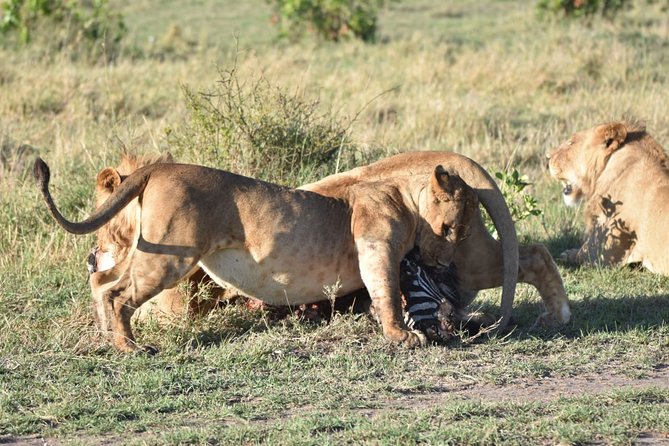 Nairobi layover - How the price works at $180.62 per person