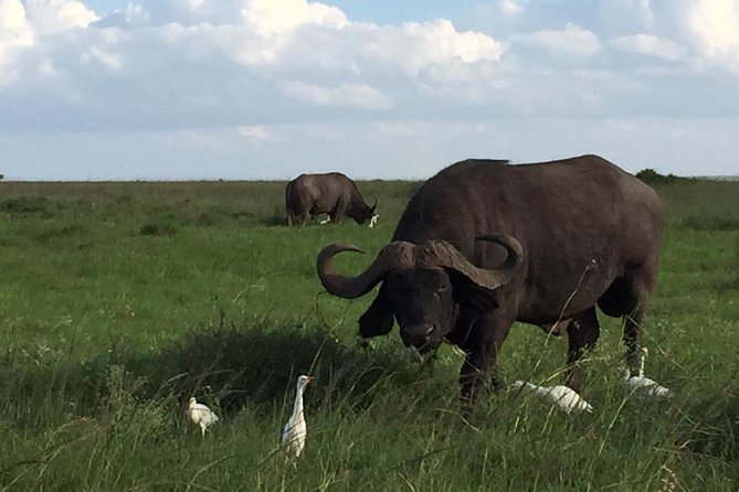 Nairobi layover - Practical details for a smoother visit