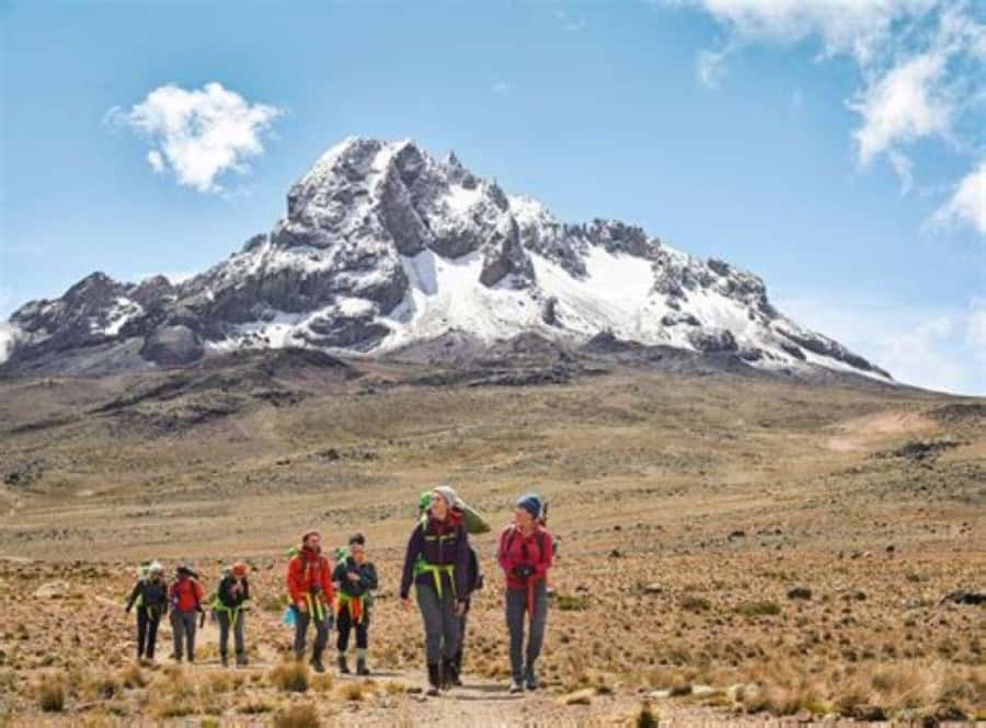 Nairobi: Mount Kenya Day Hike with Lunch - What This Mount Kenya Day Hike Really Involves