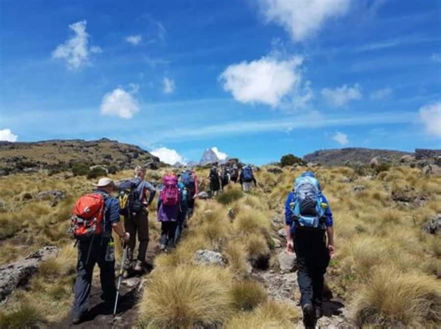 Nairobi: Mount Kenya Day Hike with Lunch - From Met Station Through Four Mountain Zones
