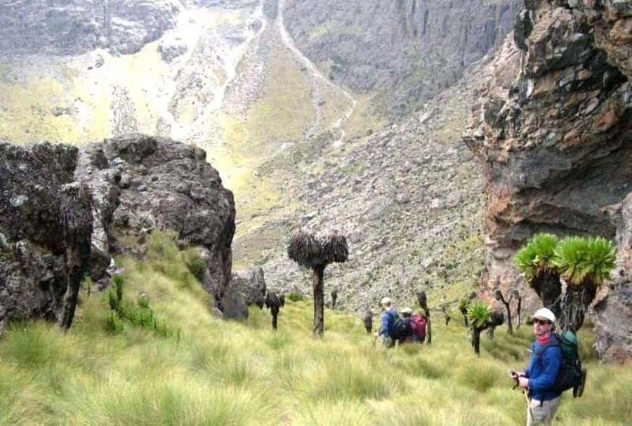 Nairobi: Mount Kenya Day Hike with Lunch - The Steep Climb Toward 3,800 Meters