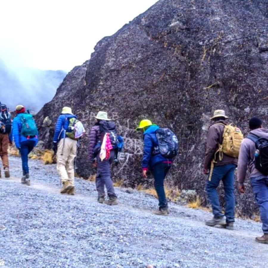 Nairobi: Mount Kenya Day Hike with Lunch - Old Moses Camp and the Mount Kenya Peaks