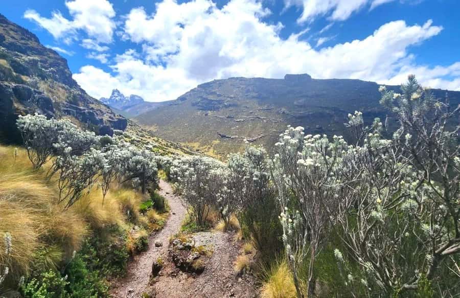 Nairobi: Mount Kenya Day Hike with Lunch - Is $304 a Fair Price?