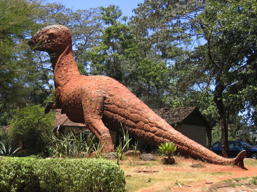 Nairobi: Museum, KICC, Giraffe Centre & Bomas of Kenya Tour - Feeding Rothschild giraffes at the Giraffe Centre